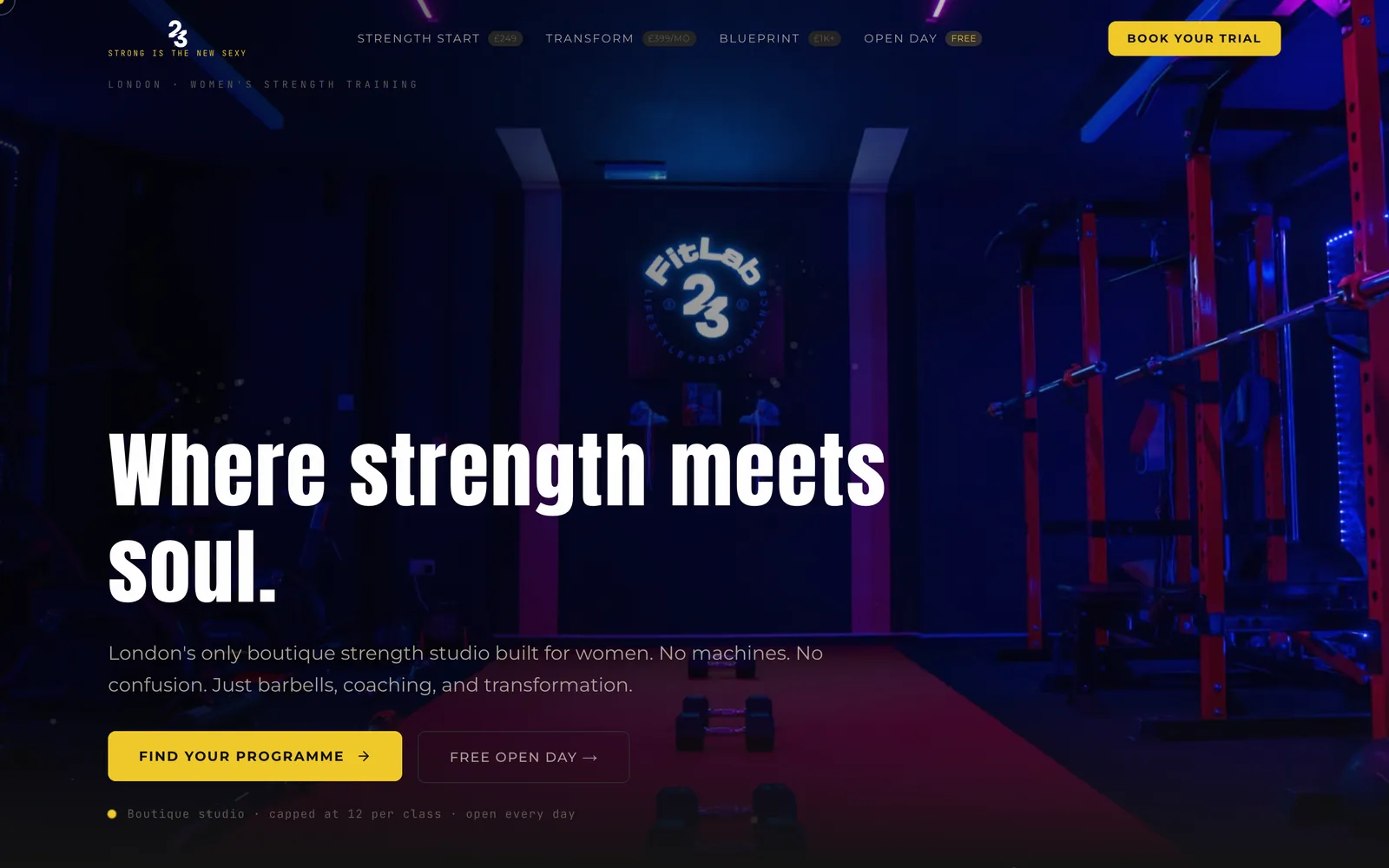 FitLab23 · SHE LIFTS website built by TitanStudio
